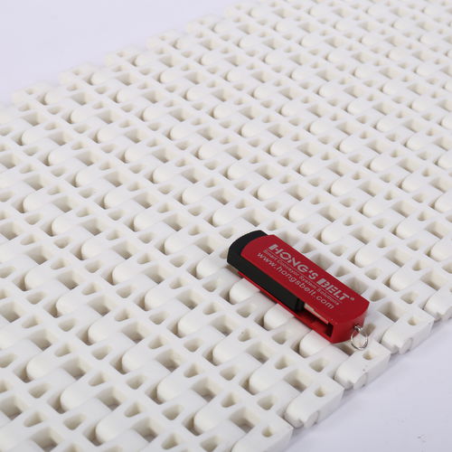 Modulares Förderband - HS-2500B/25.4MM picth - Huanan Xinhai (Shenzhen) Technology Co.,Ltd.