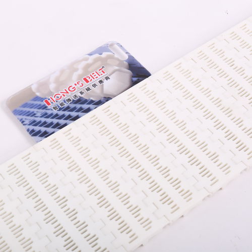 Modulares Förderband - HS-100B-HD - Huanan Xinhai (Shenzhen) Technology Co.,Ltd.