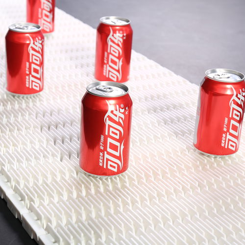 Modulares Förderband - HS-901D /50.8mm picth - Huanan Xinhai (Shenzhen) Technology Co.,Ltd. - POM / PP / aus PA