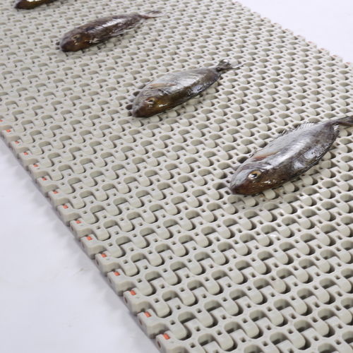 Flexibles Förderband - HS-501B, 25.4mm pitch - Huanan Xinhai (Shenzhen) Technology Co.,Ltd. - modular / POM / PP