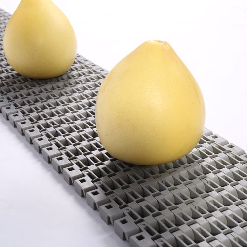 Modulares Förderband - HS-1700B/38.1mm picth - Huanan Xinhai (Shenzhen) Technology Co.,Ltd. - POM / PP / aus PA