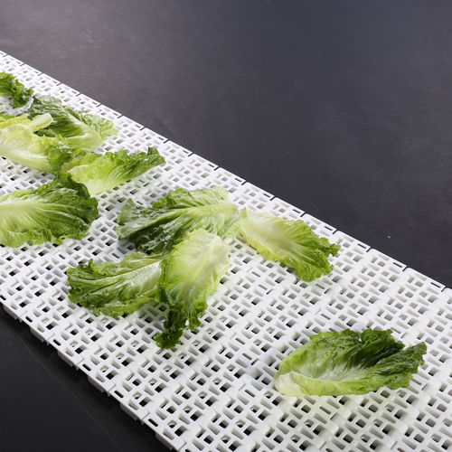 Modulares Förderband - HS-900B / 50.8mm picth - Huanan Xinhai (Shenzhen) Technology Co.,Ltd. - POM / PP / aus PA