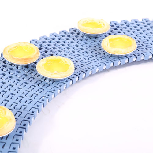 Modulares Förderband - HS-500B-GB - Huanan Xinhai (Shenzhen) Technology Co.,Ltd. - POM / Polypropylen / Nylon