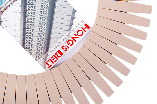 POM-Förderkette - HS-1873T-K750 - Huanan Xinhai (Shenzhen) Technology Co.,Ltd. - Latten