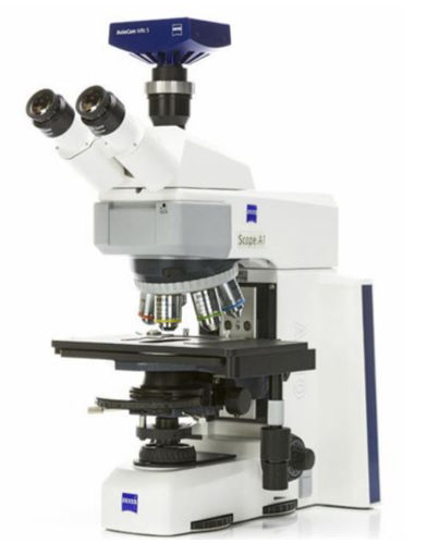Optisches Mikroskop - AxioScope A1 - Hitech Instruments - Labor / für Forschungszwecke / aufrecht