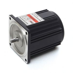 Umkehrbarer Motor - E9R40 series - DAEHWA E/M CO.,LTD - Synchron / einphasig / 220 V