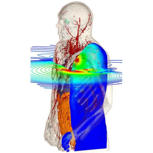 Simulationssoftware - Bioelectromagnetics Simulation - SIMULIA - Engineering / für Test / Modellierung