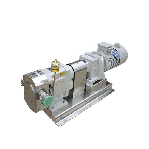 Drehkolbenpumpe - ZHEJIANG XINGSHENG MACHINERY CO.,LTD