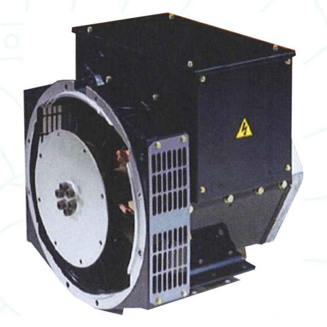 Dreiphasige Lichtmaschine - DG162 - BELTRAME CSE - zweipolig / für Stromaggregate / für Industrieanwendungen