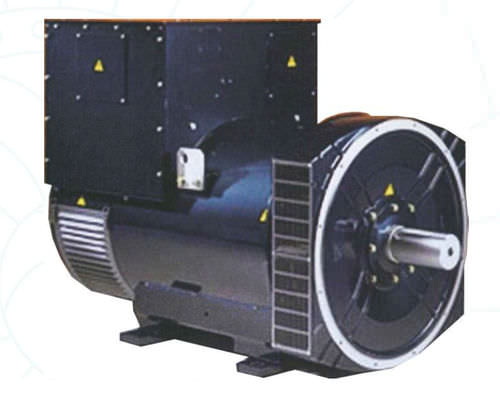 Dreiphasige Lichtmaschine - DG6 - BELTRAME CSE - 4-polig / für Stromaggregate / für industrielle Nutzung