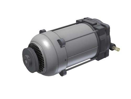 Induktionsmotor - Elnor Motors - einphasig / ATEX