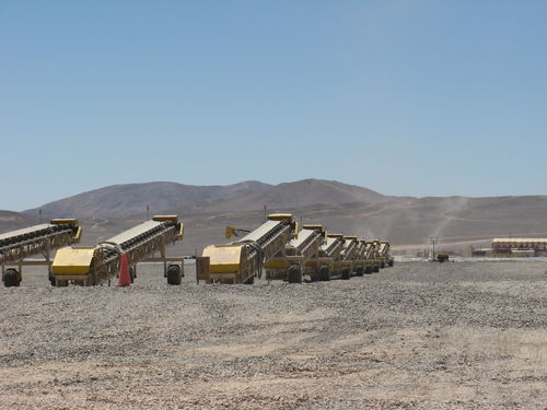 Bandförderer - TC series - THOR GLOBAL ENTERPRISES LTD. - horizontal / Transport / mobil