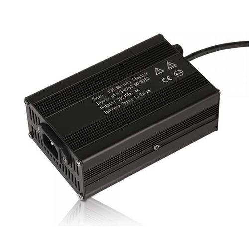 Steckbares Batterieladegerät - R120 - Rongtech Industry (Shanghai) Inc., - Lithium-Ionen / Blei-Säure / für Elektrofahrzeug