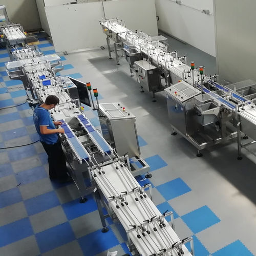 End-of-Line-System / für die Kartonierung - IDECON S.R.L. - für Dosierung / für Flowpack / für Tablettherstellungsmaschinen