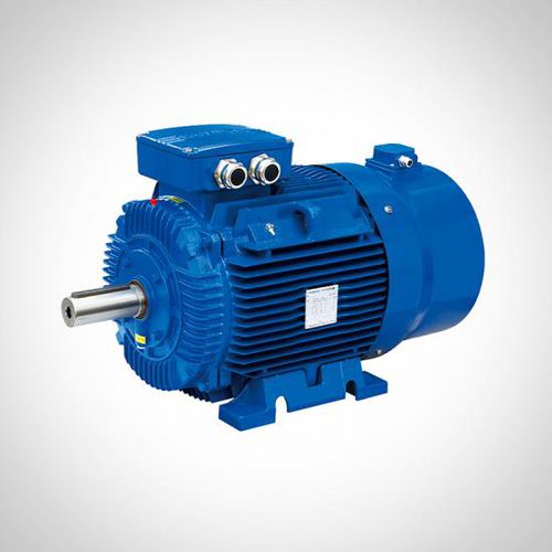 Induktionsmotor - WVF series - Fuzhou Wonder Electric Co.,Ltd. - 3-Phasen / 400 V / Gusseisen