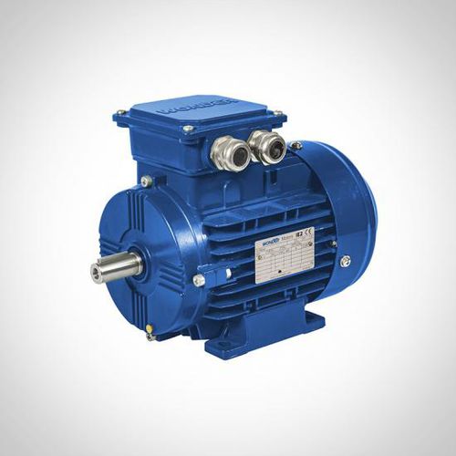 Asynchronmotor - ZWEA series - Fuzhou Wonder Electric Co.,Ltd. - AC / 400 V / Aluminium