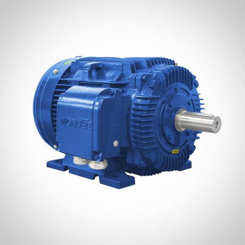 Asynchronmotor - NT series - Fuzhou Wonder Electric Co.,Ltd. - dreiphasig / Gusseisen / IP55