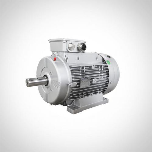 Induktionsmotor - WTM series - Fuzhou Wonder Electric Co.,Ltd. - dreiphasig / modular / IP55