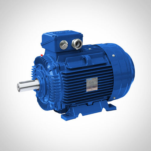 Induktionsmotor - SSWE250M2 - Fuzhou Wonder Electric Co.,Ltd. - AC / IE4 / für Werkzeugmaschinen