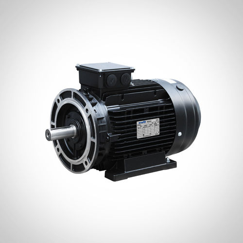 Induktionsmotor - SSWEA132S1-2-5.5KW - Fuzhou Wonder Electric Co.,Ltd. - AC / IE4 / für Hydraulikanwendungen