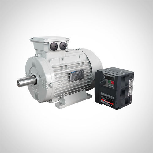 Induktionsmotor - WST225-3000-75KW - Fuzhou Wonder Electric Co.,Ltd. - dreiphasig / Permanentmagnet / IE4