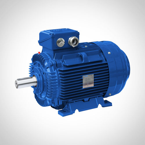 Induktionsmotor - SWE-250M2-55KW - Fuzhou Wonder Electric Co.,Ltd. - AC / gehärtet / IE3