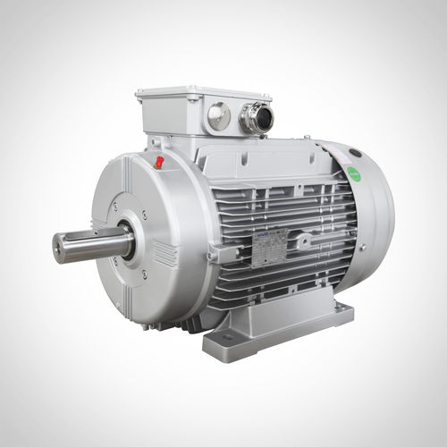 Asynchronmotor - SWEA160L4-15KW - Fuzhou Wonder Electric Co.,Ltd. - AC / IP55 / IE3