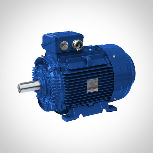 Asynchronmotor - SWE315L2-2-200KW - Fuzhou Wonder Electric Co.,Ltd. - AC / für Mühle / für die Bergbauindustrie