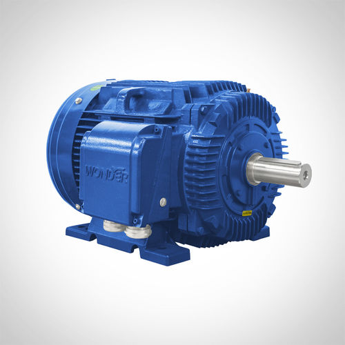 Induktionsmotor - NT444T1-6-D-75HP - Fuzhou Wonder Electric Co.,Ltd. - AC / Gusseisen / TEFC