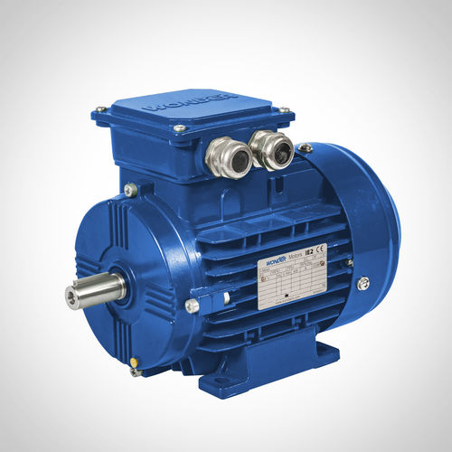 Induktionsmotor - SWEA-180M4-18.5KW - Fuzhou Wonder Electric Co.,Ltd. - AC / IE3 / selbstkühlend