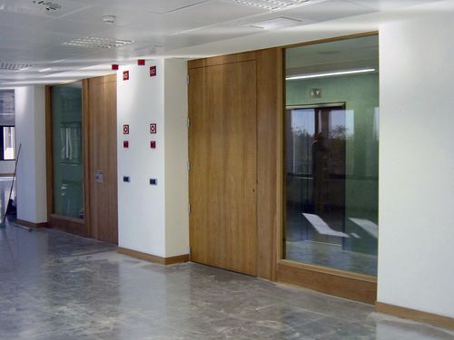 Einflügeltür - EI2-30-60-90-120 series - ALFATECO MADRID S.A. - Glas / Holz / für den Innenbereich