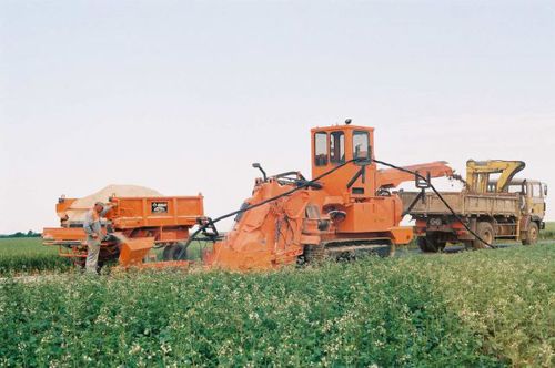 Ketten-Grabenfräse - SMC 300 C - MARAIS SA - auf Raupen