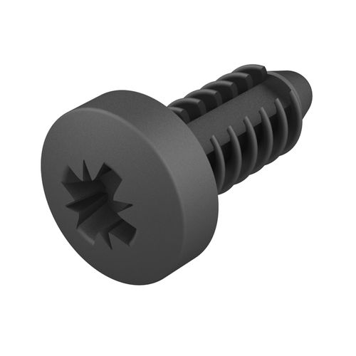 Zylinderkopf-Niete - FBA - ISC PLASTIC PARTS - Nylon / Gewinde
