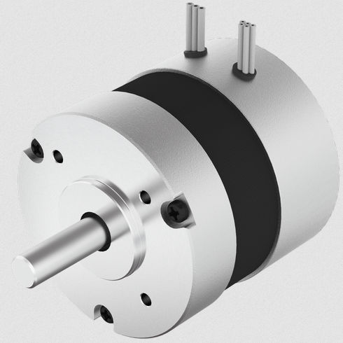 Bürstenloser Motor - FL57BL(S) series - Changzhou Fulling Motor Co., Ltd - DC / 36 V / IP40
