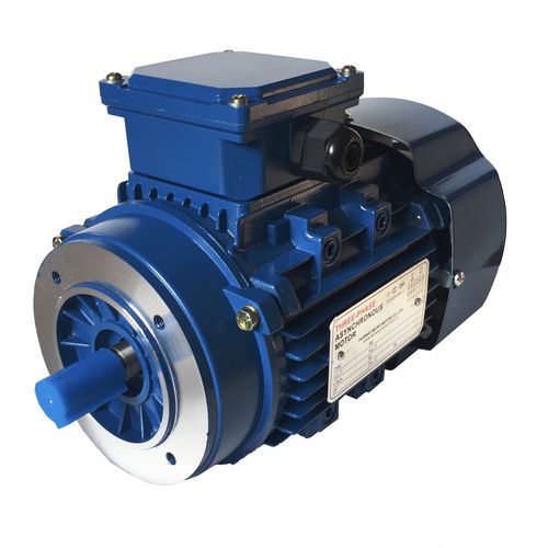 Asynchronmotor - YDT Series - Ocean Industry - dreiphasig / 380 V / IP44