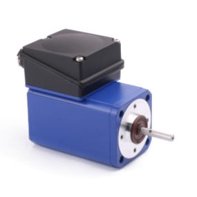 Induktionsmotor - IGK 65 - GROSCHOPP AG Drives & More - einphasig / IP54 / robust