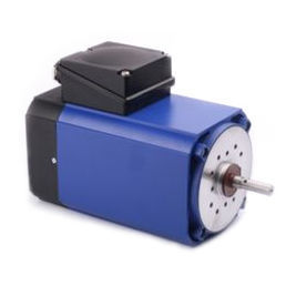 Induktionsmotor - IGL 100 - GROSCHOPP AG Drives & More - AC / robust / kompakt
