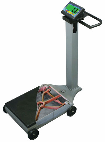 Digitale Waage - 1100 series   - FAIRBANKS - bodenmontiert / tragbar