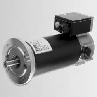 Synchronmotor - Penta series - SNT - Gleichstrom / 24 V / Permanentmagnet