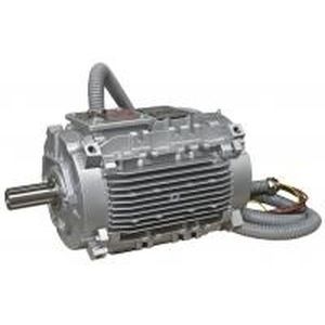 Motor für AC für Brandgas - LSHT/FLSHT - LEROY-SOMER - Induktion / dreiphasig / 690 V