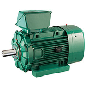 ATEX-Motor - FLSES zone 22 - LEROY-SOMER - Induktion / AC / 400 V