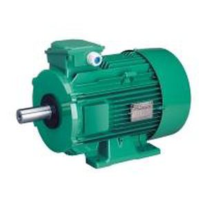 Induktionsmotor - LS series - LEROY-SOMER - dreiphasig / mit Aluminiumrahmen / IP55