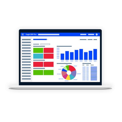 ERP-Software - Cegid XRP Flex - CEGID - Management / Reporting / Echtzeit