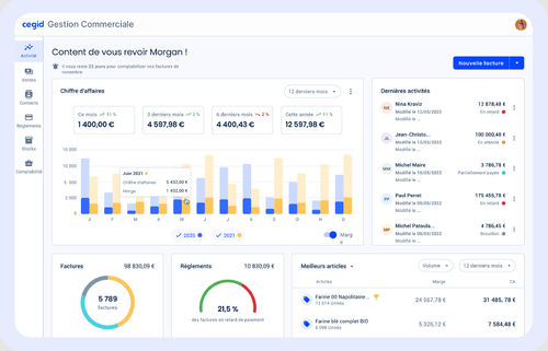E-Commerce-Software - CEGID - Bestellungsverwaltung / Statistik / Entwicklungs