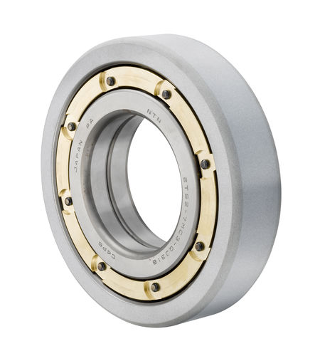 Kugellager - MEGAOHM - NTN Europe - Radial / Stahl / Keramik