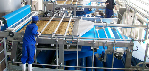 Bandpresse für die Lebensmittelindustrie - WINKLEPRESS WPX - Gebr. Bellmer GmbH Maschinenfabrik  - für Obst