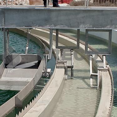Schaber zur Abwasseraufbereitung - PRTPD - SERECO  - Schlamm