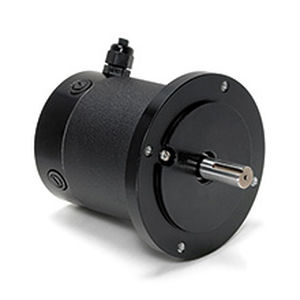 Bürstenbehafteter Motor - DPP701 - Electrocraft - DC / 24 V / 48 V