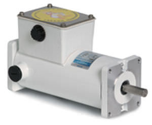 Synchronmotor - LEESON Electric - DC / wasserdicht