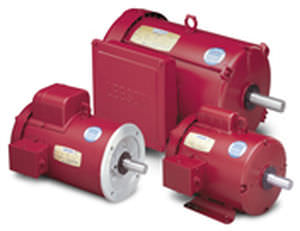 Synchronmotor - 0.33 - 10 hp - LEESON Electric - DC / Hochdrehmoment